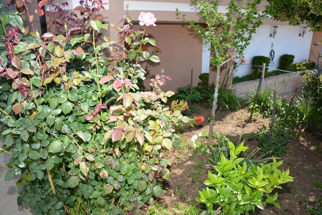 Guest House Evropa 2 أولتْسي المظهر الخارجي الصورة